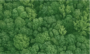 Carbon Capture ,Europe 2026