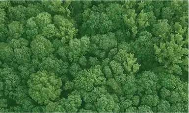 Carbon Capture ,Europe 2026